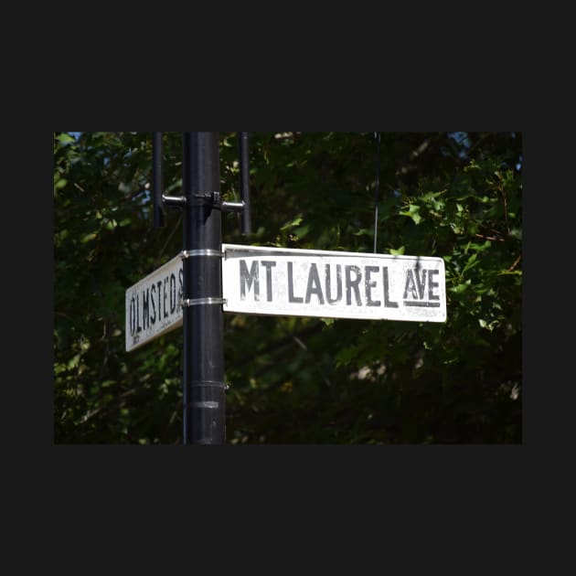 mt laurel ave sign by sarelitay