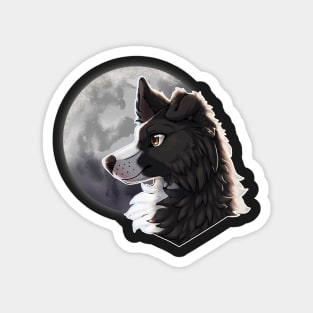 Black Border Collie with Night Sky Full Moon Magnet