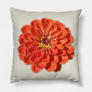 Orange Zinnia flower Pillow