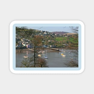 Dittisham Magnet