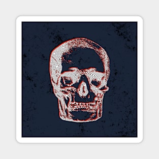 Skull Magnet