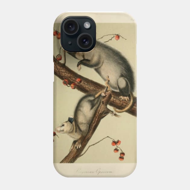 Vintage Opossums Phone Case by bluespecsstudio