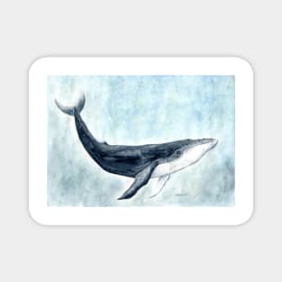 Whale power animal Magnet