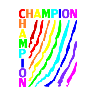 CHAMPION rainbow T-Shirt