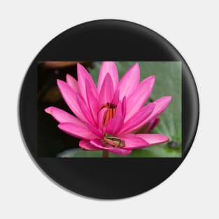 LOTUS Pin