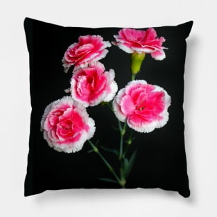 Carnation Arrangement Pillow