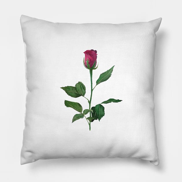 Watercolor rose Pillow by RosanneCreates