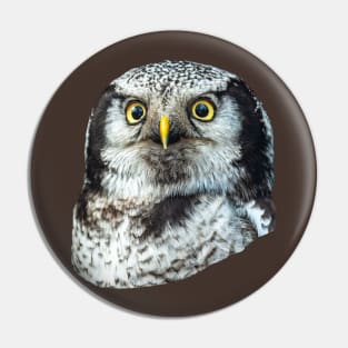 Eyes of a Northern Hawk Owl Pin