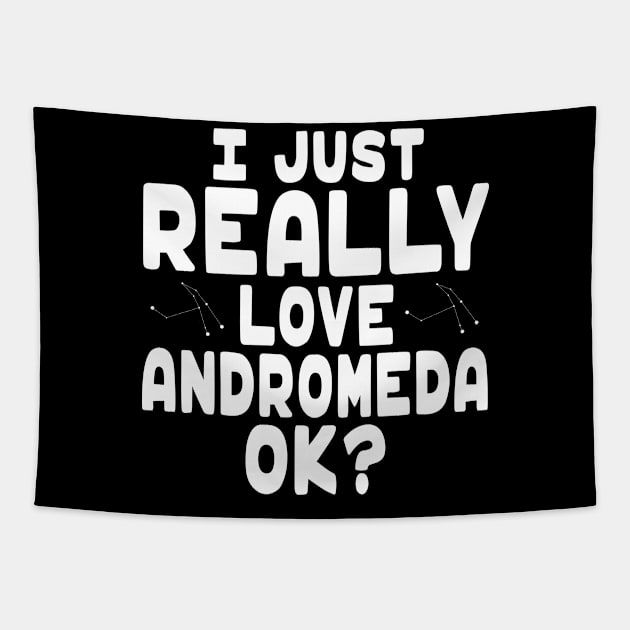 I Love Constellation Andromeda - Andromeda Lover Tapestry by HeartsandFlags