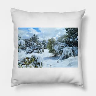 Pristine Winter Chill Pillow