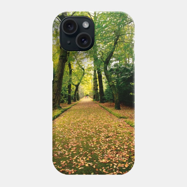 Terra Nostra Park Phone Case by Gaspar Avila