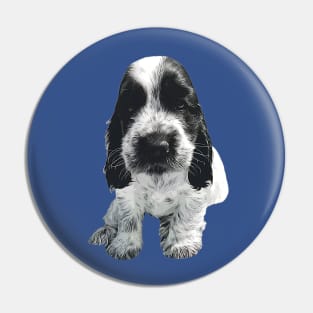 English Cocker Spaniel - Cute Blue Roan puppy dog Pin
