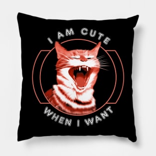 Funny cat quote Pillow