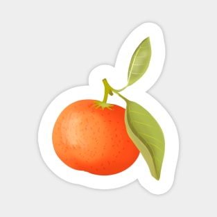 Orange tangerine Magnet