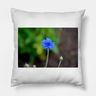 Grand Lake Floral Study 8 Pillow