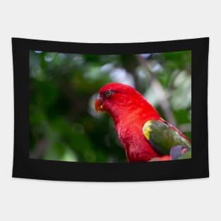 Red Macaw Tapestry