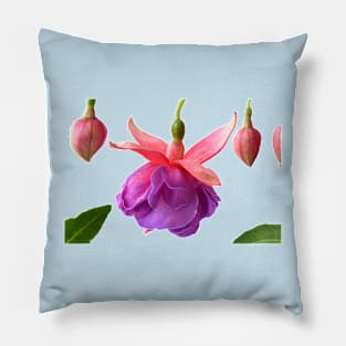 Fuchsia  &#39;Madeleine Sweeney&#39; Pillow