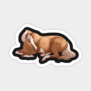 Sleepy Horse Magnet