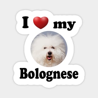 I Love My Bolognese Magnet