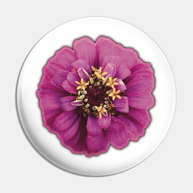 Magenta Flower and Yellow Pollen - Photograph Art -  Digital Image Cut-out into a fun graphic perfect for stickers, notebooks, greeting cards, pillows and more Pin by cherdoodles