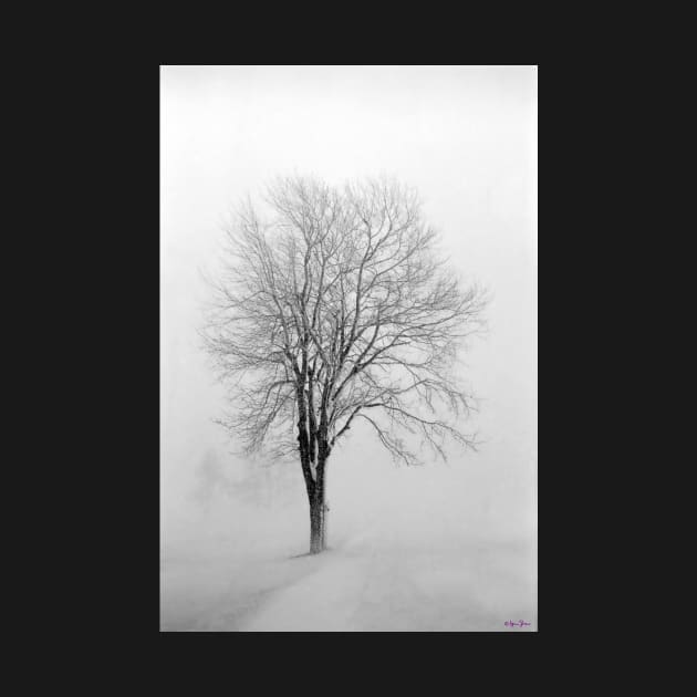 Skeletal Tree in a Winter Storm by BrianPShaw