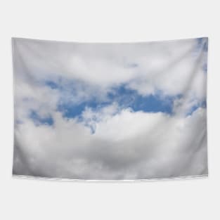 Looking up at the soft and white clouds! Tapestry