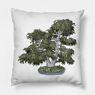 Smooth Japanese Maple Bonsai Pillow