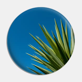 Palm Tree Blue Sky Pin