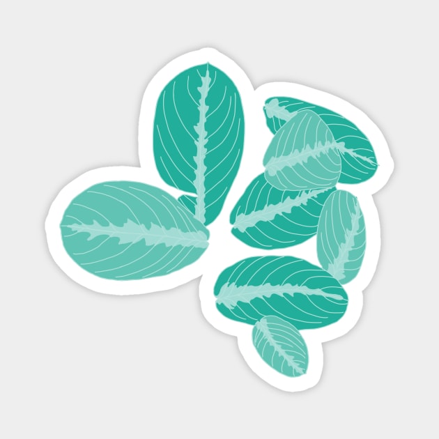 Green prayer plant Magnet by terastar