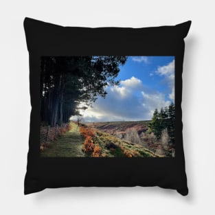 Langsett, Peak District, UK Pillow