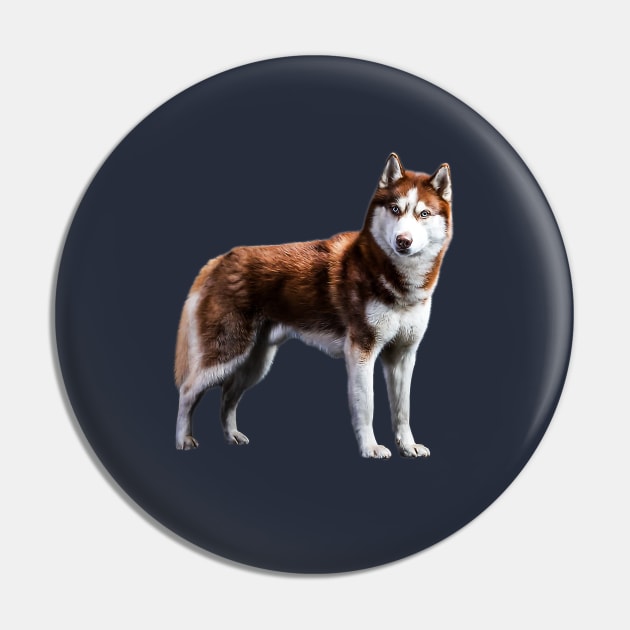 Siberian Husky Red Husky Wolf Dog Pin by ElegantCat