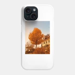 Golden leaves in the sun Phone Case