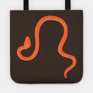 In my boot, there is a snake (orange) Tote