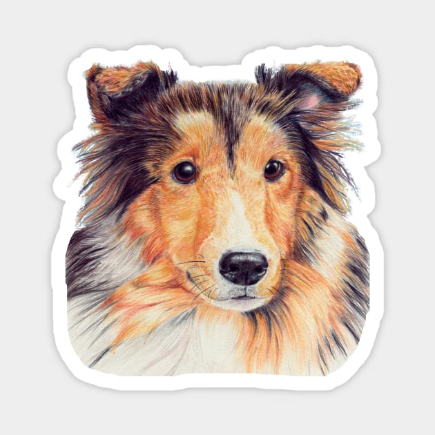 Shetland sheepdog  cp Magnet by doggyshop