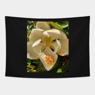 The Sweet Purity of Magnolia Abundance and Unabashed Splendor Tapestry