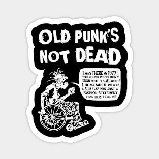 old punks not dead Magnet