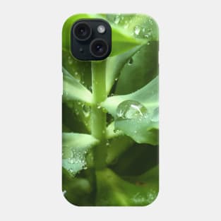 Soothing green water freshness Phone Case