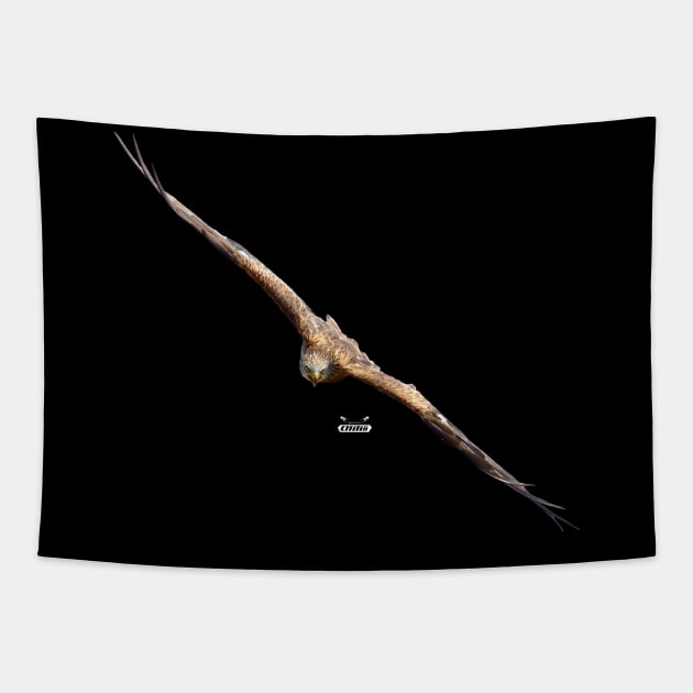 eagle focus / Swiss Artwork Photography Tapestry by Wolf Art / Swiss Artwork Photography