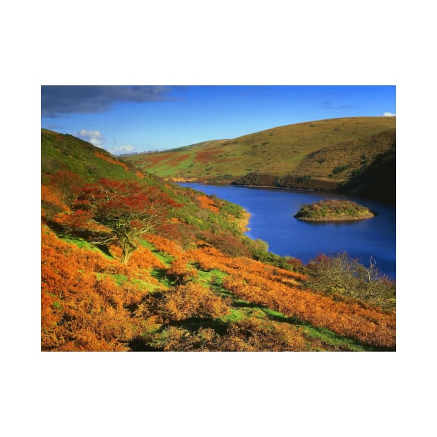 Meldon Reservoir by galpinimages