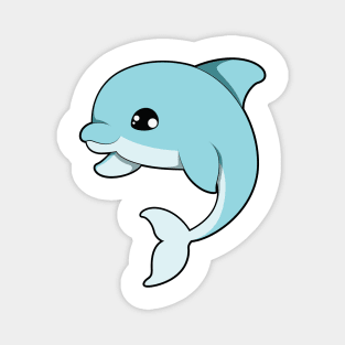 Dolphin Magnet