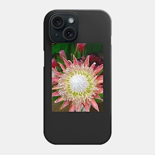 Protea Hawaii 1 Phone Case