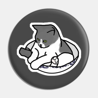 Bowl Cat Pin