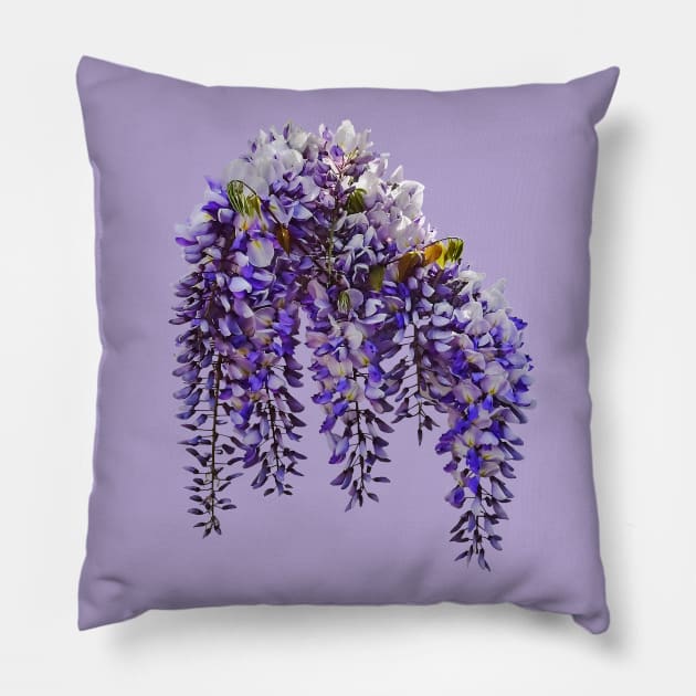 Bunch of Wisteria Pillow by SusanSavad