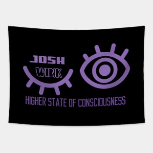 Josh Wink Higher State of Consciousness Tapestry