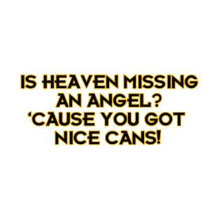 Is Heaven Missing an Angel? 'Cause You Got Nice Cans! T-Shirt