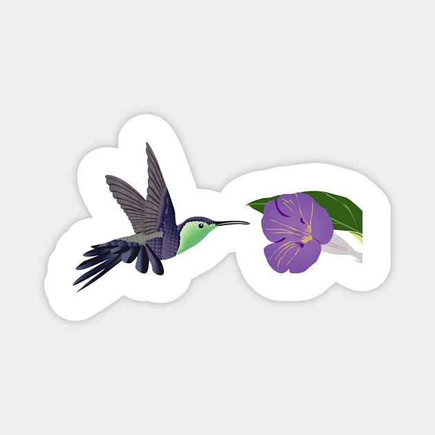 hummingbird and flower Magnet by Pet & Nature Lovers