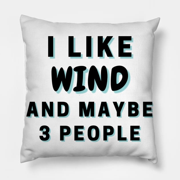 I Like Wind And Maybe 3 People Pillow by Word Minimalism