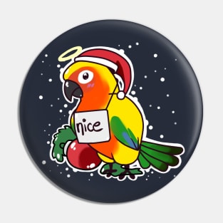 Nice Sun Conure Pin