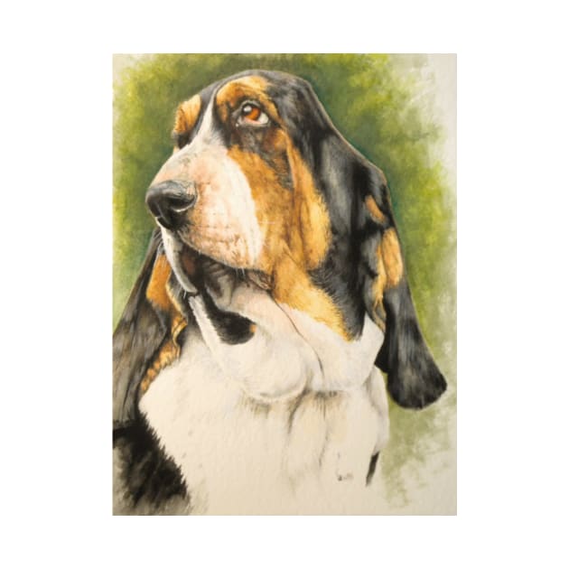 Basset Hound Portrait by BarbBarcikKeith