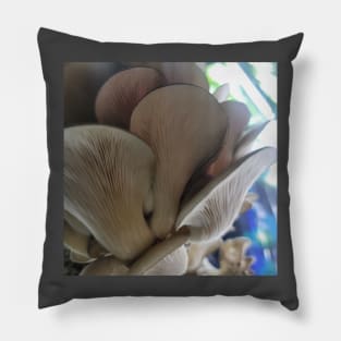 Oyster Mushroom Gills Pillow